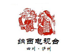 纳西电视台